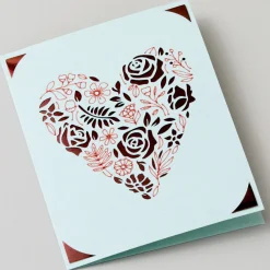 Cartes avec insert, collection Sensei- S40 (35unités)