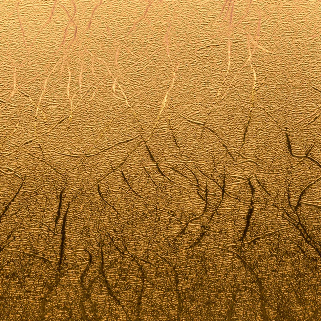 échantillon Premium Vinyl™ métallisé texturé, Métaux foncés-Permanent