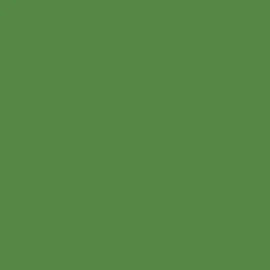 Cricut Joy™ Smart Vinyl™ - Amovible, Vert vif