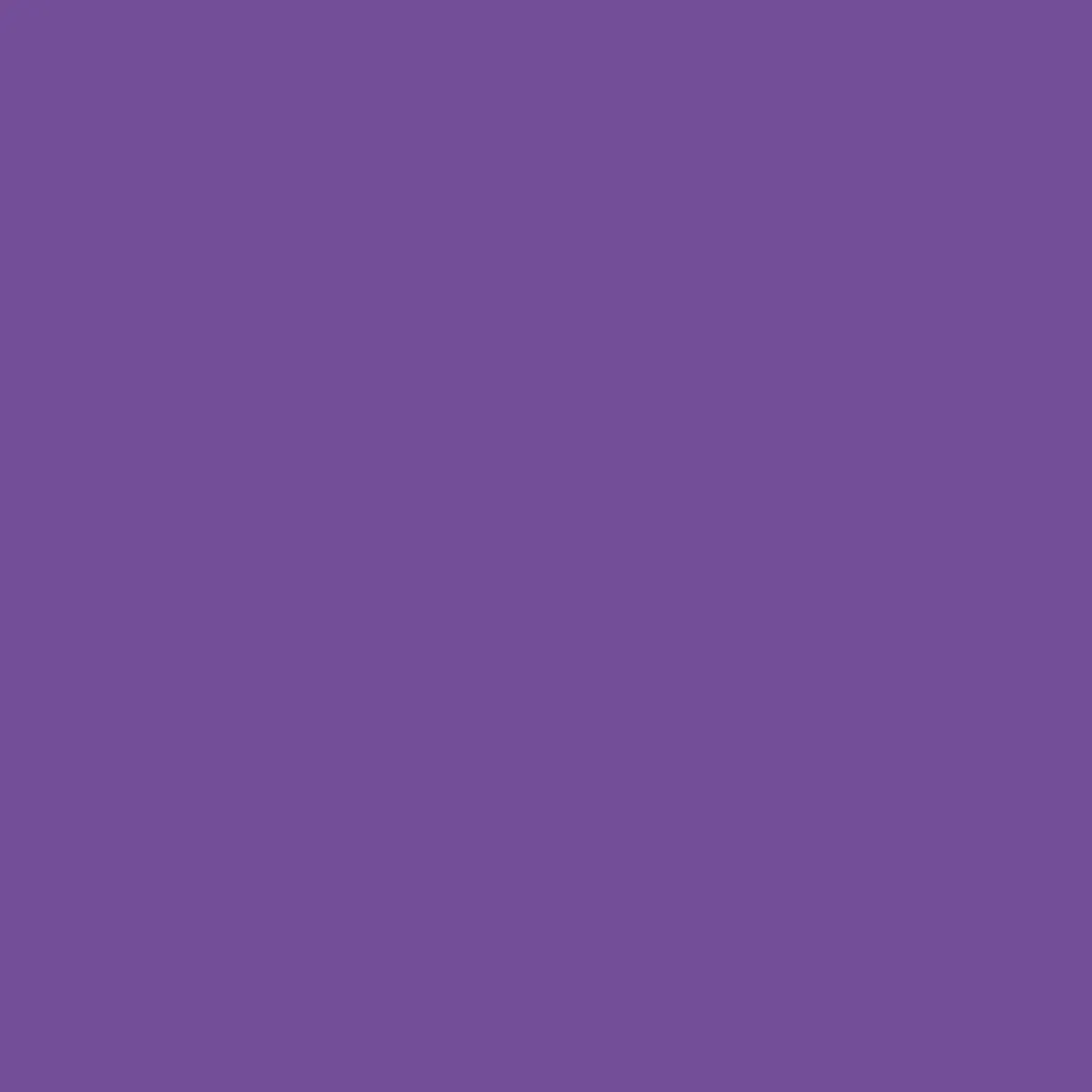 Feuille de transfert Infusible Ink, Ultra Violet