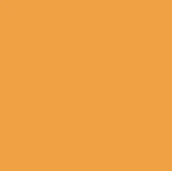 Feuilles de transfert Infusible Ink, Mandarine