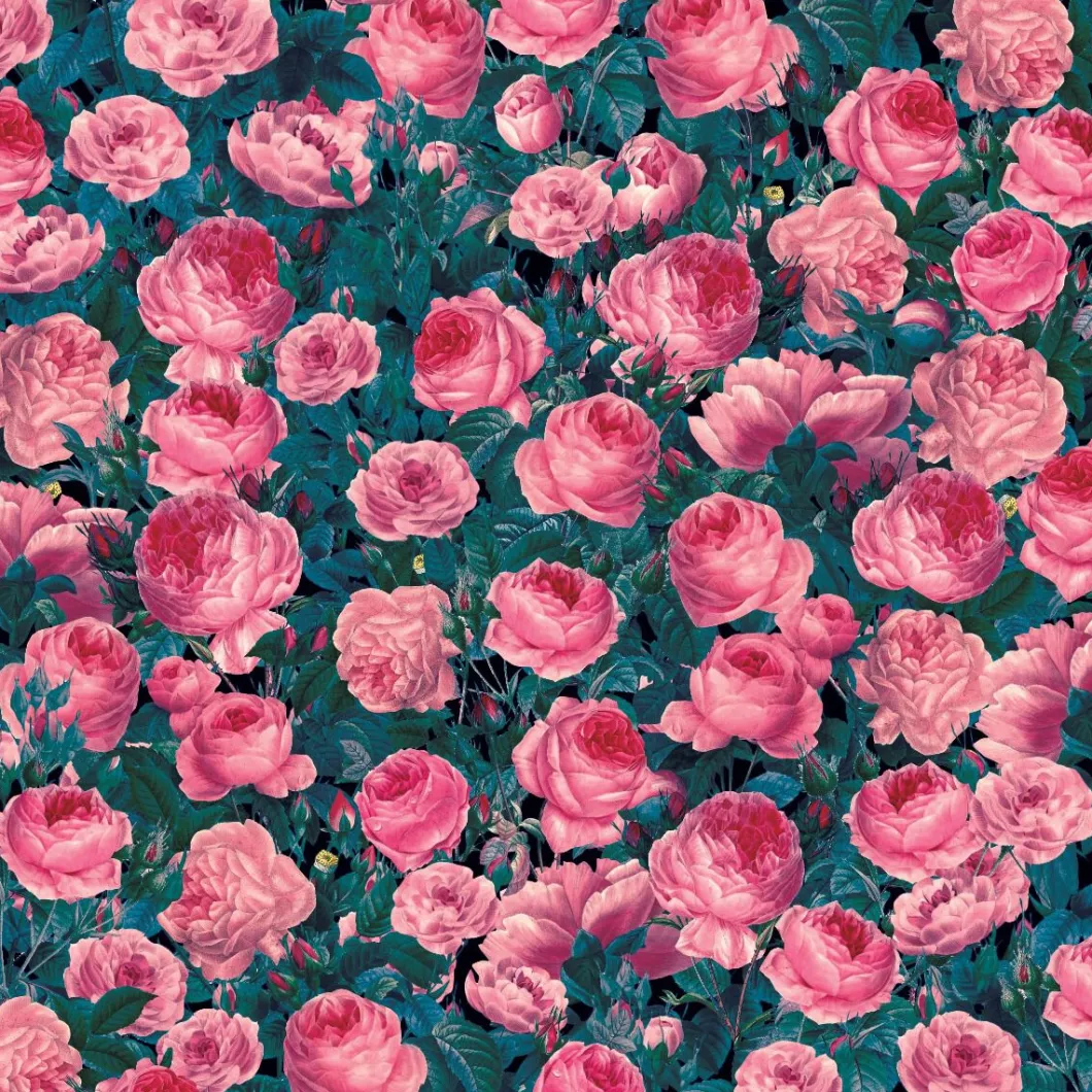 Feuilles de transfert Infusible Ink™ à motifs, Rose cent-feuilles