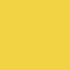 INF INK SLD JAUNE VéRITABLE 12 X 12(2)