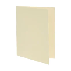 Inserts de cartes Cricut Joy™, Crême/Or Paillettes