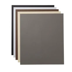 Papier cartonné, collection Neutrals - 60,9cm x 71,1cm (24po x 28po) (50unités)