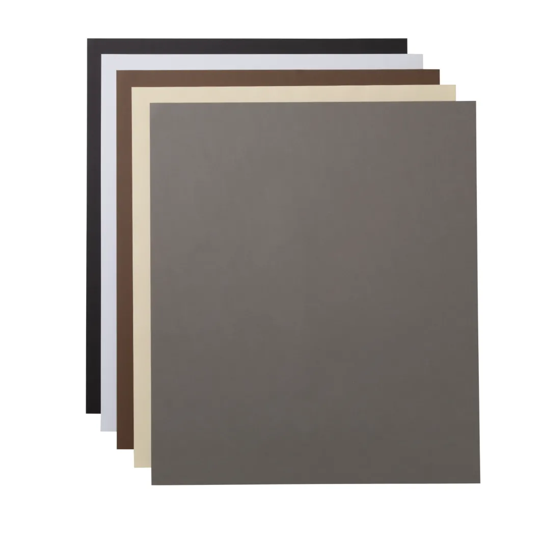 Papier cartonné, collection Neutrals - 60,9cm x 71,1cm (24po x 28po) (50unités)