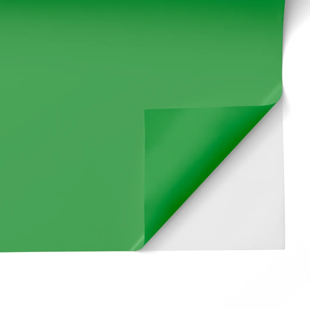 Thermocollant économique de 30,5 cm × 6 m (12 po × 20 pi), Vert