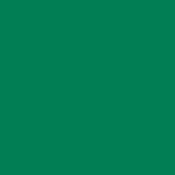 Vinyle permanent sans tapis Smart Vinyl™ (1,5 m / 5 pi), Herbe