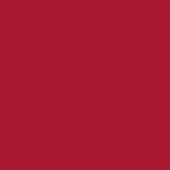 Vinyle permanent sans tapis Smart Vinyl™ (0,9 m / 3 pi), Rouge