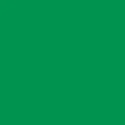 Vinyle thermocollant sans tapis Smart Iron-On™ (0,9 m / 3 pi), Herbe